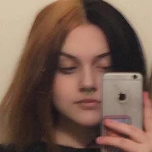 Meet your Posher, Shelby